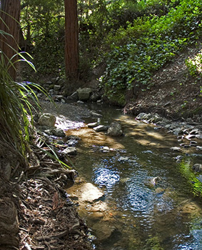 photo of creek
