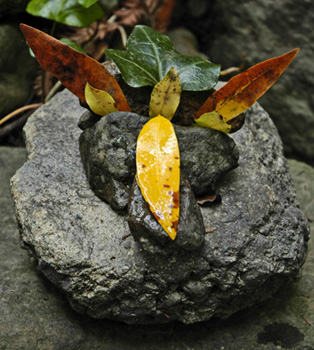  photo rock and leaf sculpture 