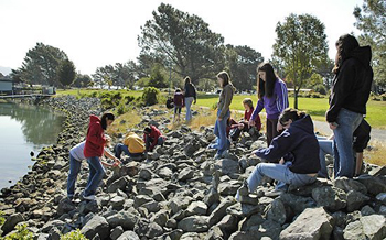  group exploring rocks on breakwater 